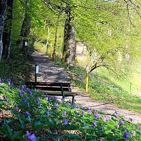 فندق Hulfteggpass Mühlrüti
