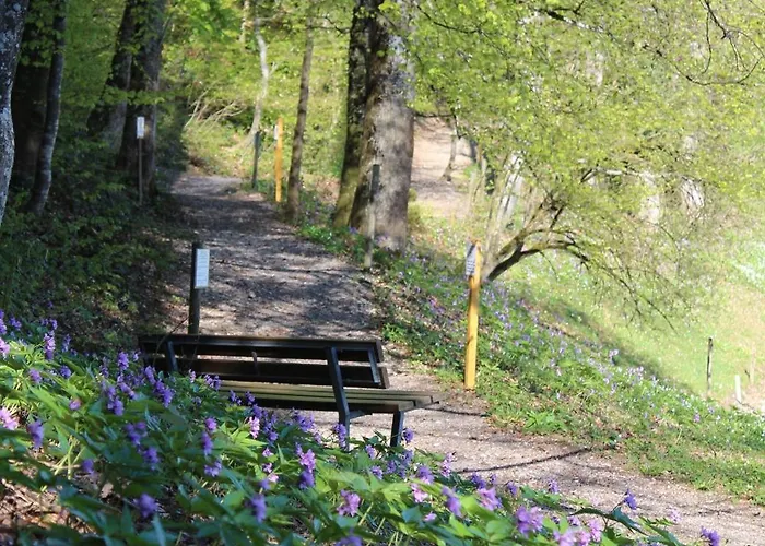 Hulfteggpass Hotel *