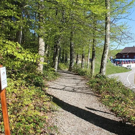 Szálloda Hulfteggpass Mühlrüti
